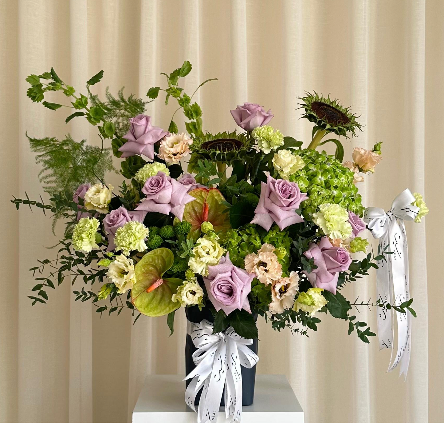 garden hydrangea