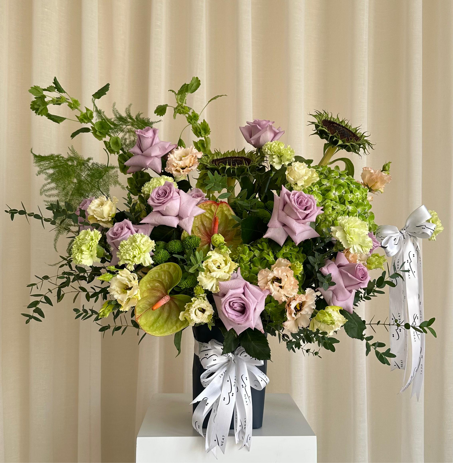 anthurium wind