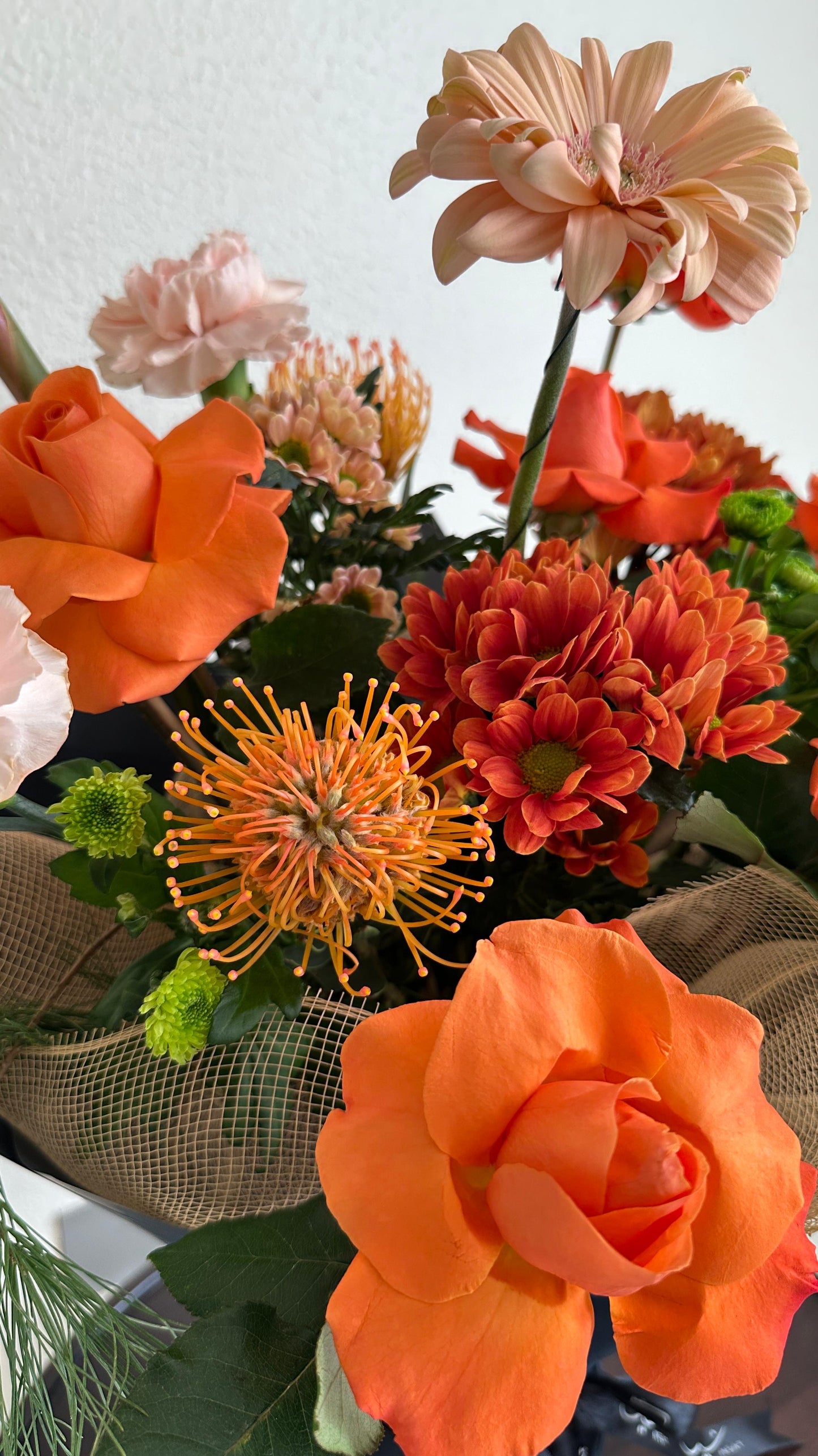 green fall 🤎❣️