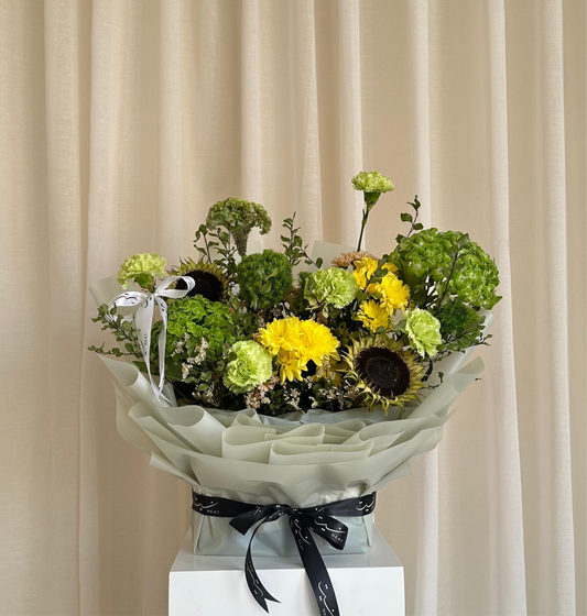 hydrangea sun kissed 🌻