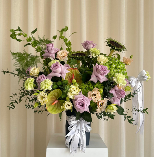 anthurium wind
